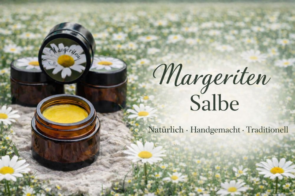 Etsy Margeriten