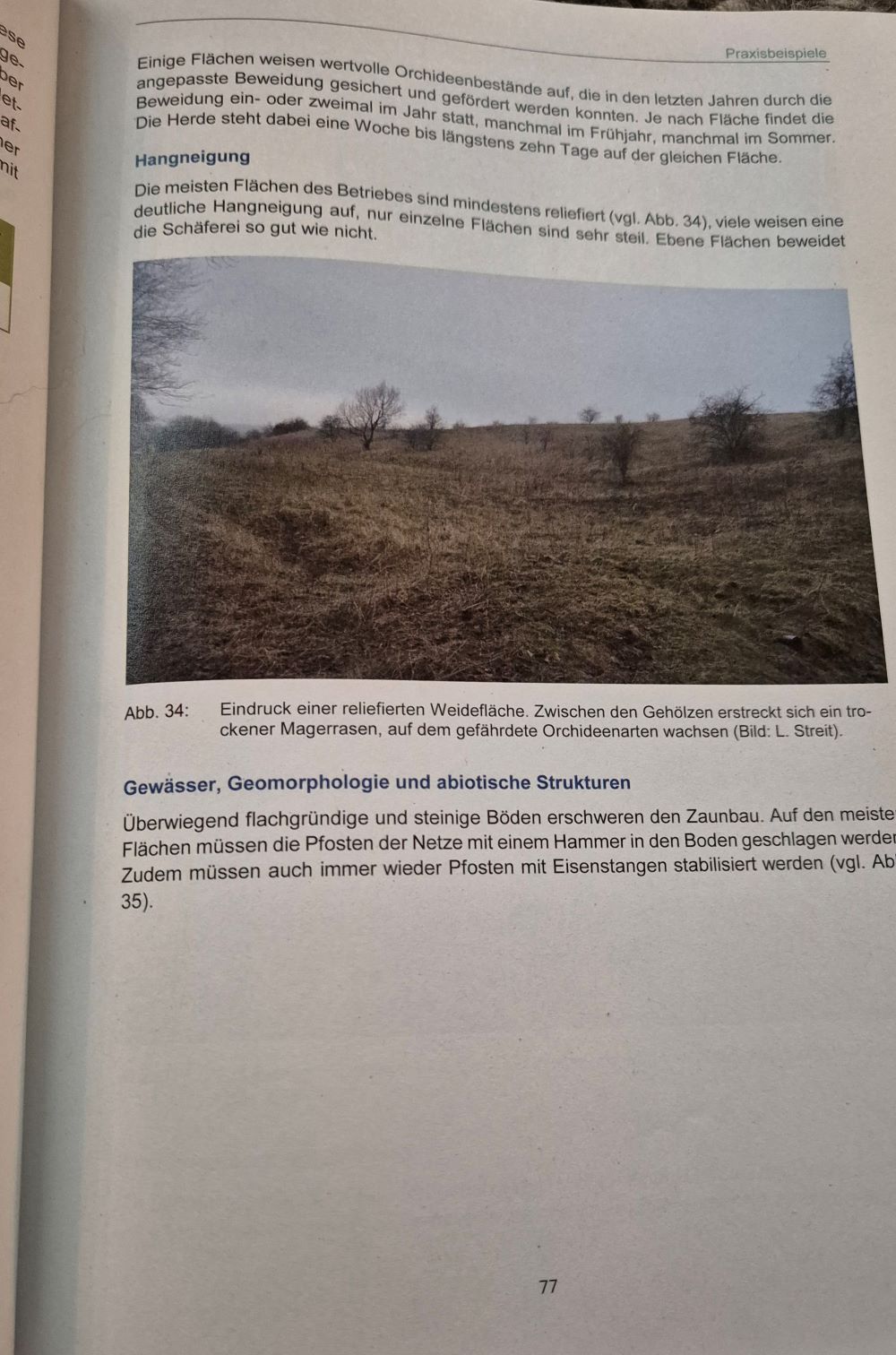 Herdenschutz in der Praxis77