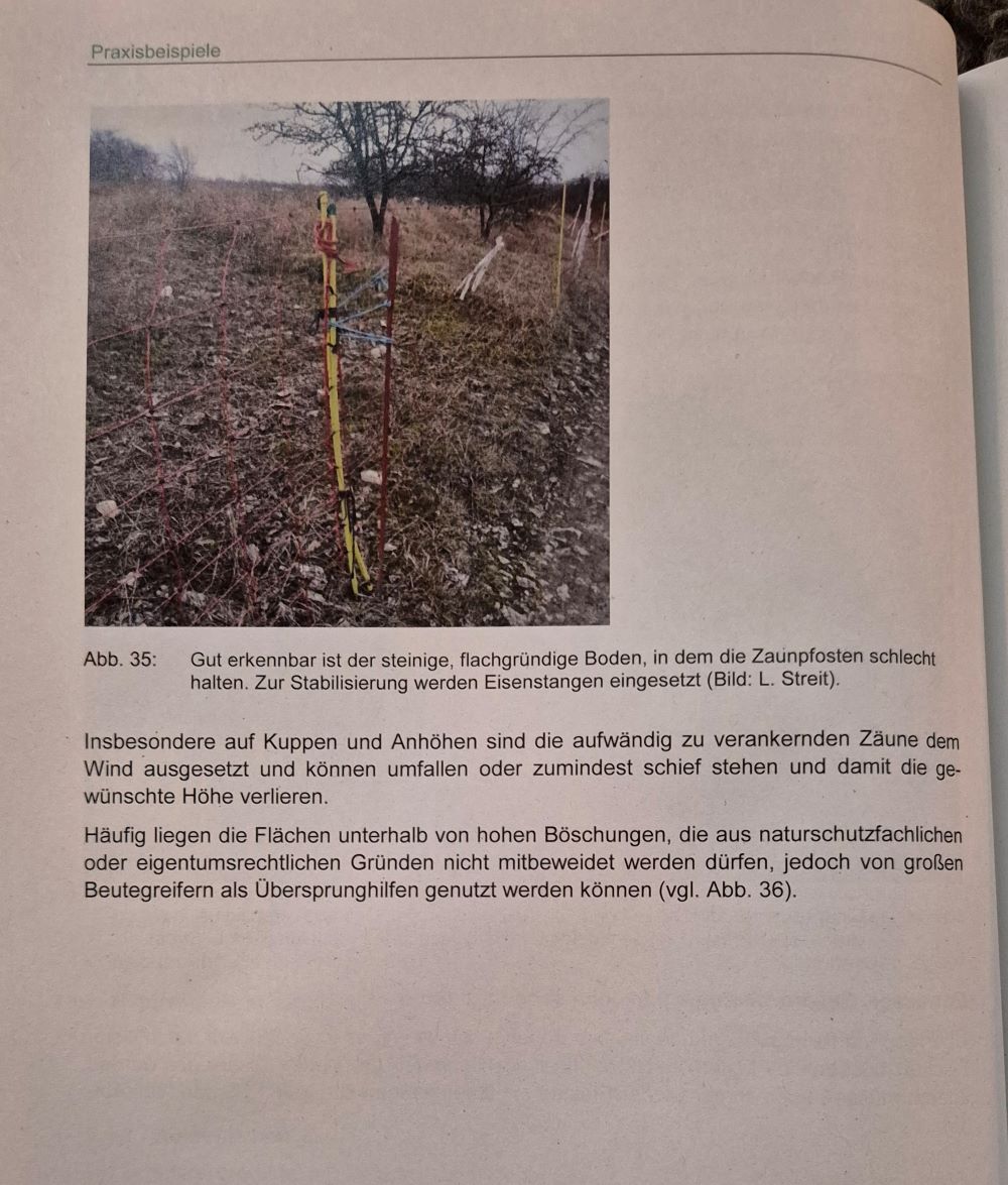 Herdenschutz in der Praxis78