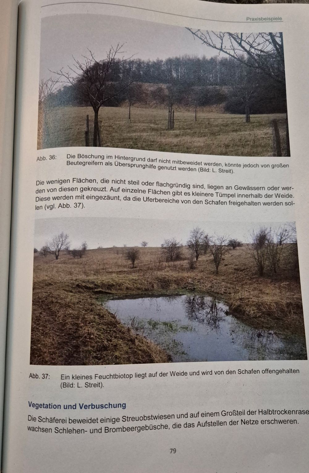 Herdenschutz in der Praxis79