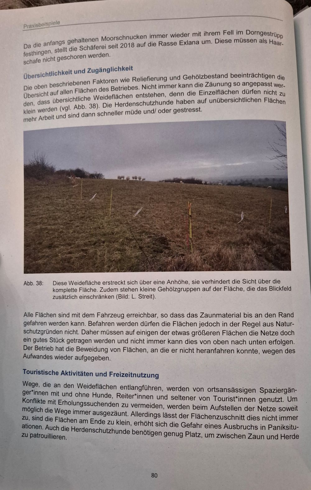 Herdenschutz in der Praxis80