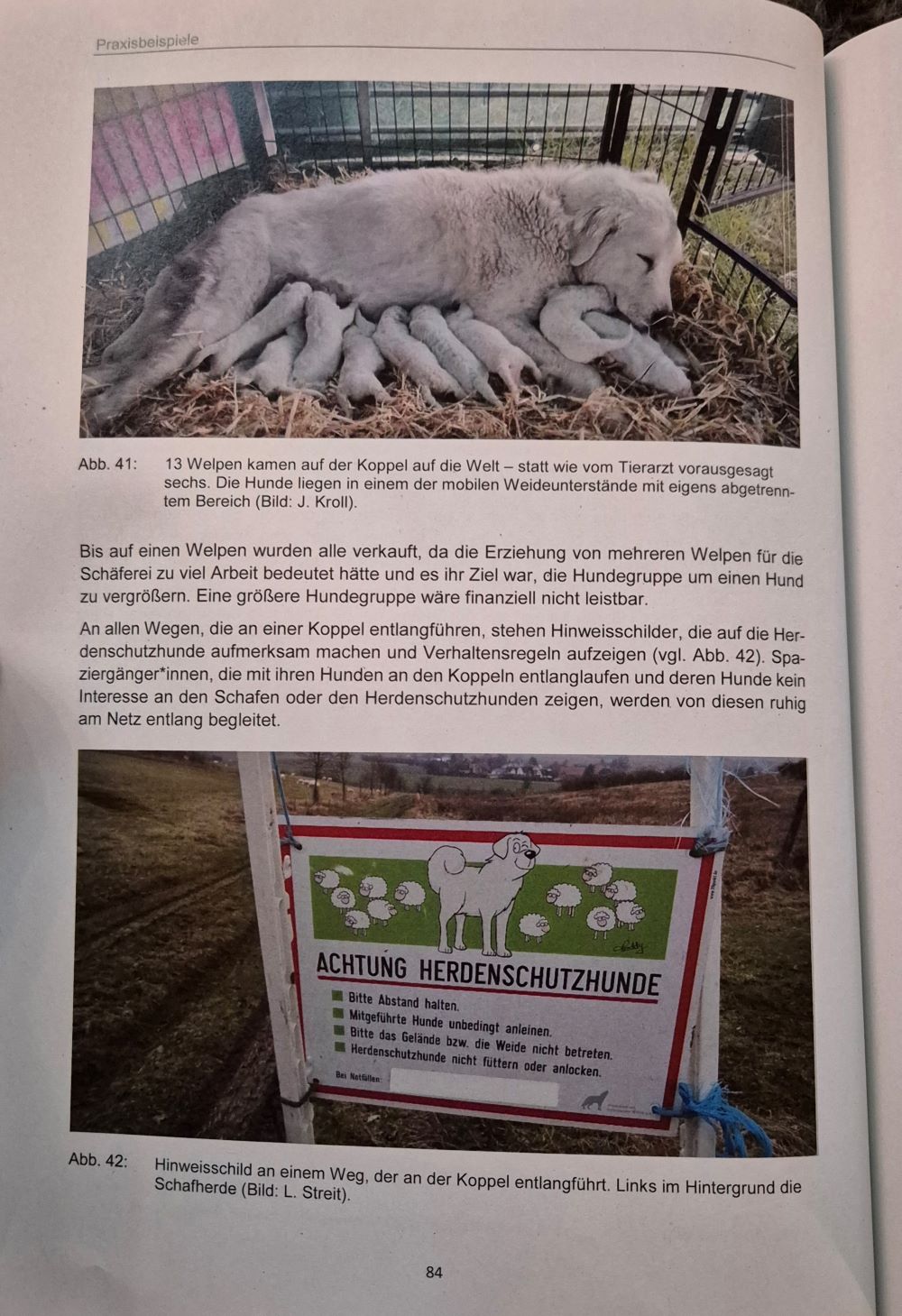 Herdenschutz in der Praxis84