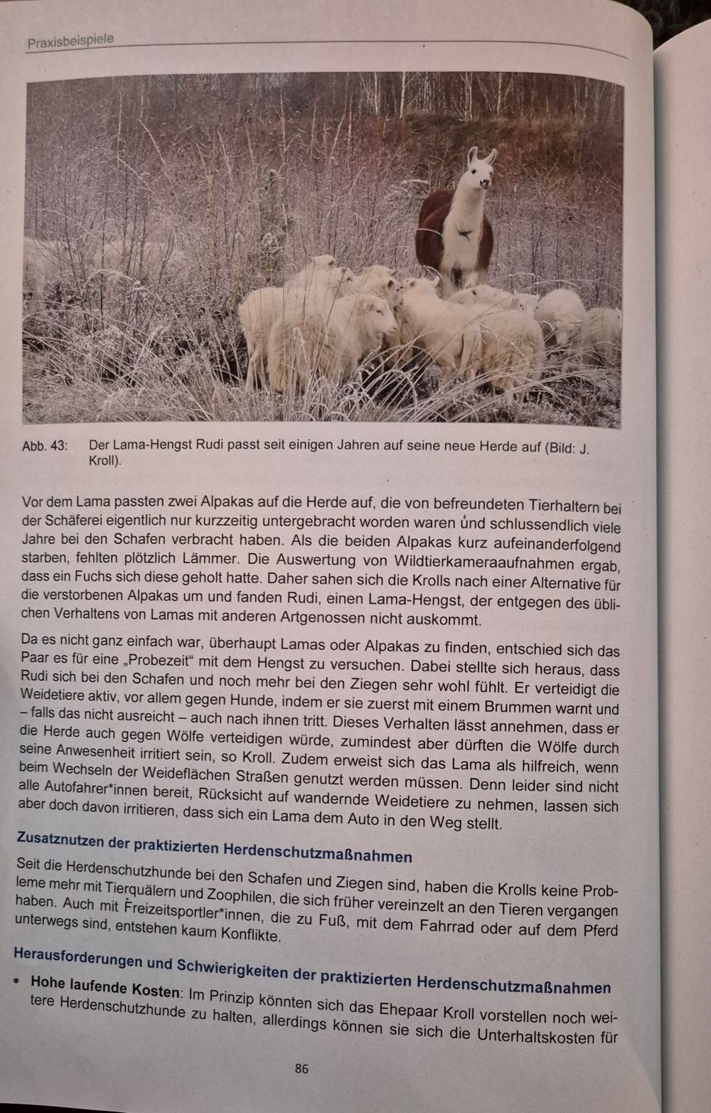 Herdenschutz in der Praxis86