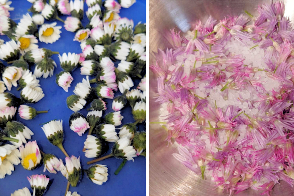 Kräuterwanderung und Kräutersalz herstellen