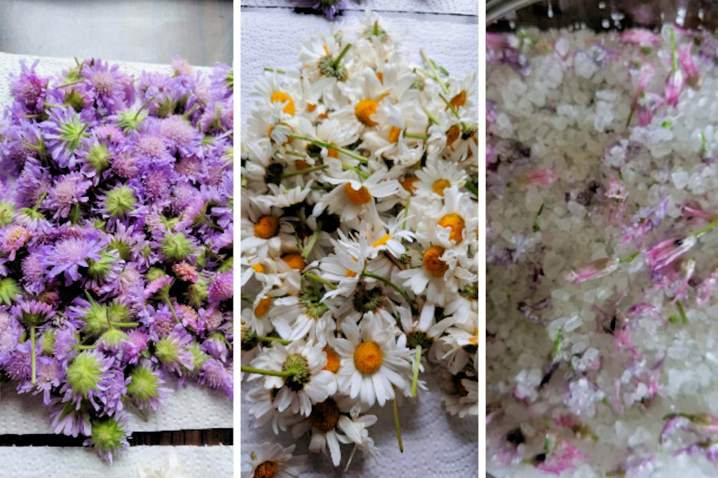 Kräuterwanderung und Kräutersalz herstellen